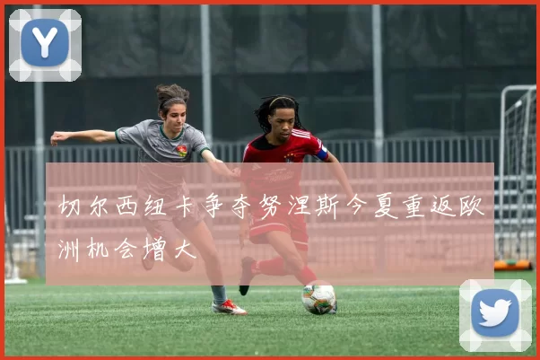 切尔西纽卡争夺努涅斯今夏重返欧洲机会增大