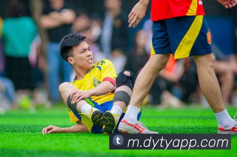 德赢体育APP发展历程